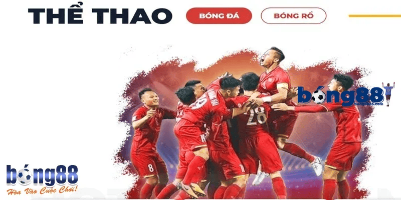 Các môn cá cược phổ biến của thể thao bong88 Các môn cá cược phổ biến của thể thao bong88