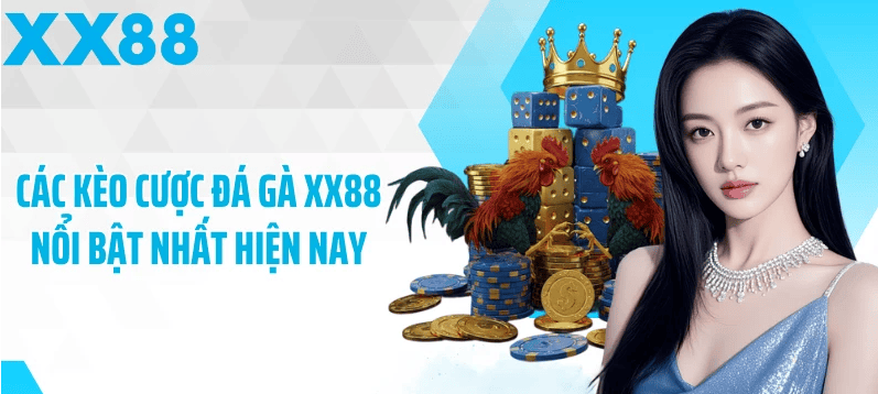 Chiến thuật ứng dụng khi chọn cửa và quản trị rủi ro Chiến thuật ứng dụng khi chọn cửa và quản trị rủi ro