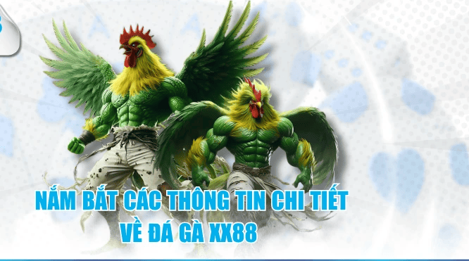 Đá gà đòn C1 XX88: Bí kíp đọc chân gà cho người mới