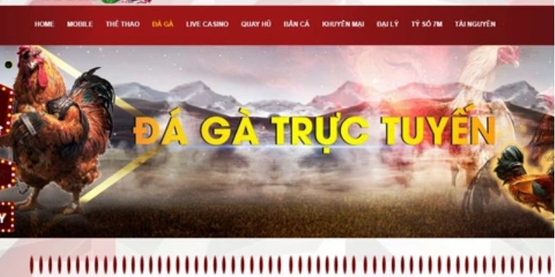 Đá Gà Trực Tiếp – Trải Nghiệm Cá Cược Hấp Dẫn Cho Người Chơi