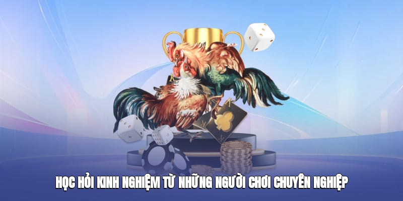 Học hỏi kinh nghiệm từ những người chơi chuyên nghiệp