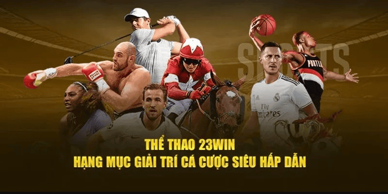 Thể Thao 23Win - Nền Tảng Cá Cược Thể Thao Hàng Đầu Việt Nam 2025