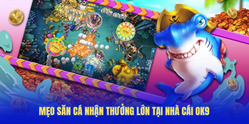 Chiến thuật bắn chuẩn – săn boss lớn – đổi thưởng cực nhanh Chiến thuật bắn chuẩn – săn boss lớn – đổi thưởng cực nhanh