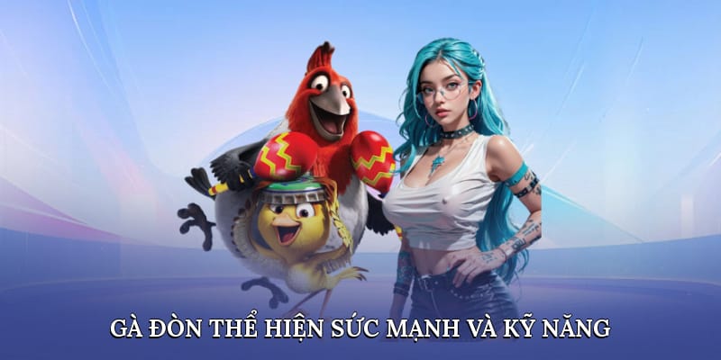 Gà đòn thể hiện sức mạnh và kỹ năng Gà đòn thể hiện sức mạnh và kỹ năng