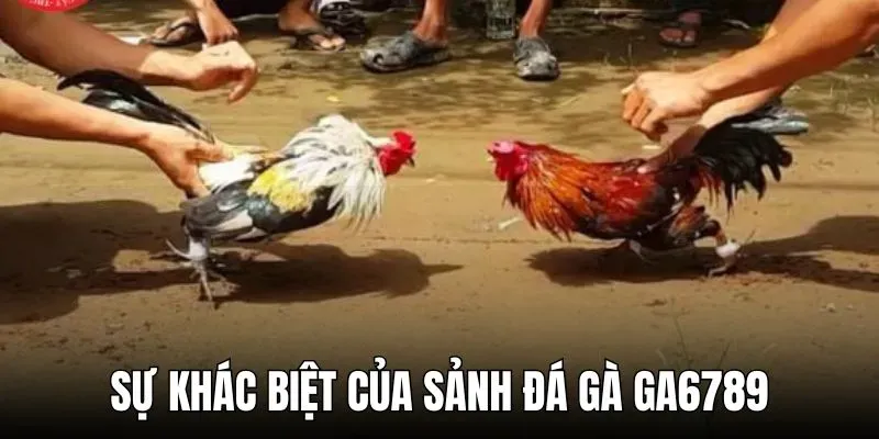 Điều gì làm nên sự khác biệt của sảnh đá gà GA6789?