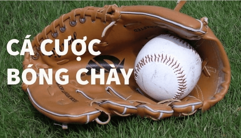 Cá Cược Bóng Chày – Trải Nghiệm Thể Thao Đỉnh Cao Của Sức Mạnh
