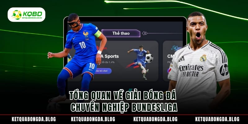 Tổng quan về giải bóng đá chuyên nghiệp Bundesliga