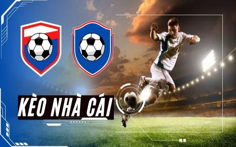 Bí Quyết Đọc Kèo Hiệu Quả Trên Bongdalu