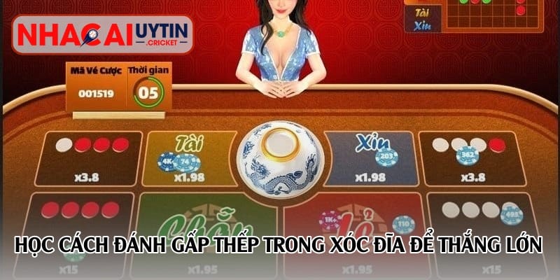 Học cách đánh gấp thếp trong xóc đĩa để thắng lớn
