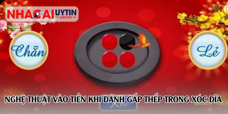 Nghệ thuật vào tiền khi đánh gấp thếp trong xóc đĩa