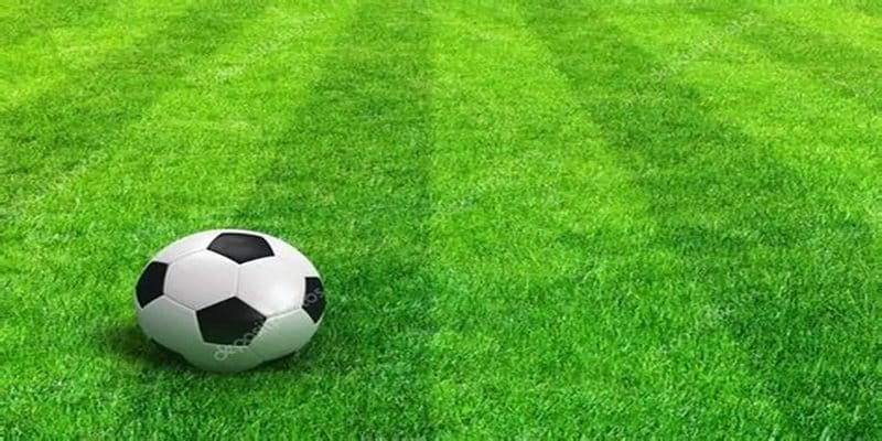 Cược tài xỉu siêu dễ
