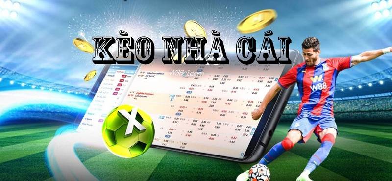 Tỷ Lệ Kèo 7M – khi những con số biết kể chuyện bóng đá
