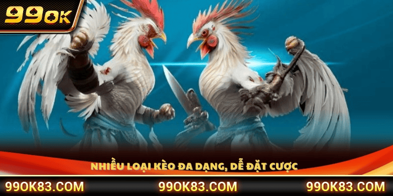 Bí Quyết Nhận Diện Chiến Kê Bách Chiến Bách Thắng