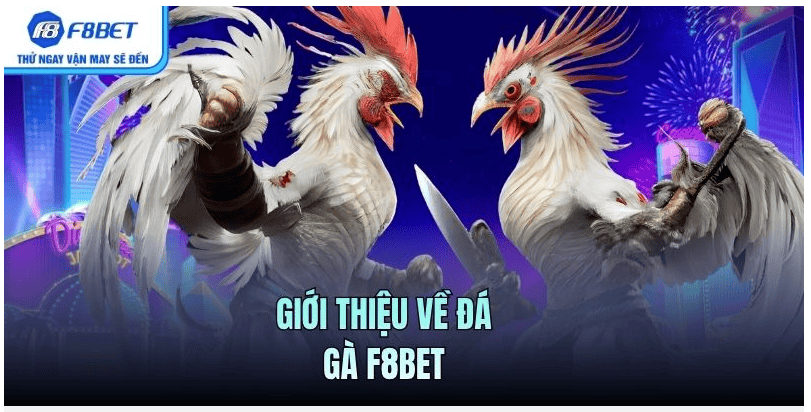 Các Trường Gà Hợp Tác