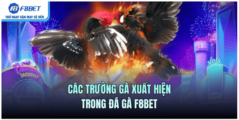 Cược Combo