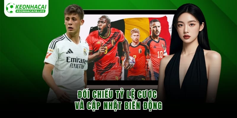 Đối chiếu tỷ lệ cược và cập nhật biến động