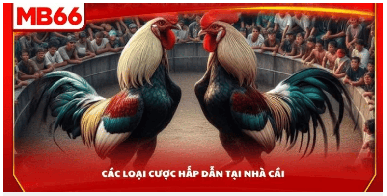 Kết Hợp Nhiều Kiểu Cược