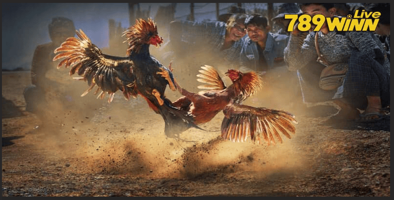 Đăng Ký Tài Khoản 789WIN