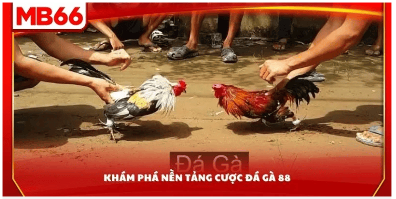 Nạp Tiền Và Rút Tiền An Toàn