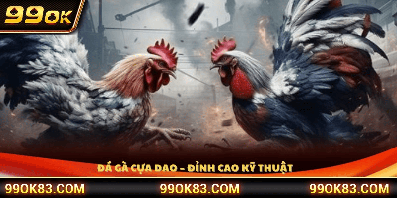 Sức Hấp Dẫn Từ Công Nghệ Truyền Tải Tại Đá Gà 99OK