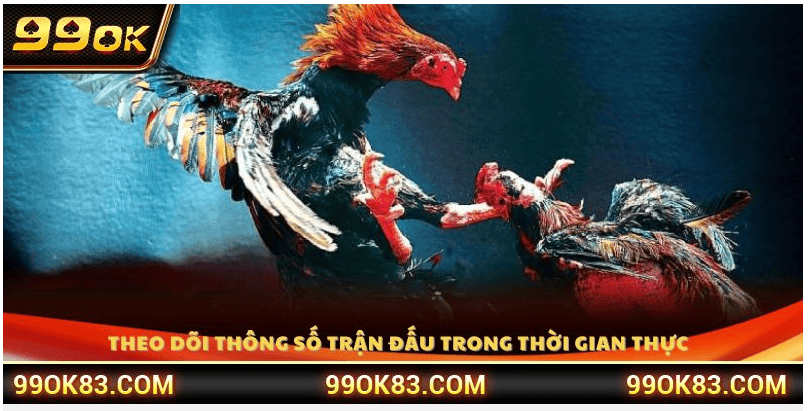 Thời Điểm Vàng Để Tham Gia