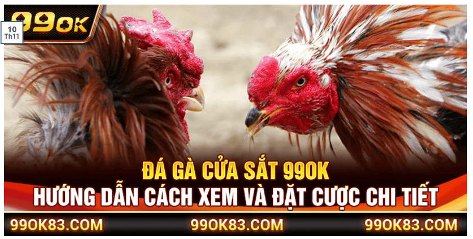 Tỷ Lệ Cược Cạnh Tranh Và Minh Bạch