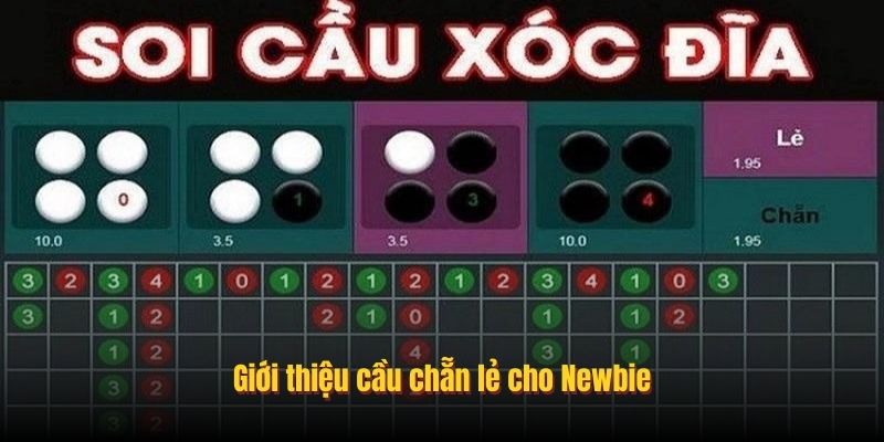 Giới thiệu cầu chẵn lẻ cho Newbie