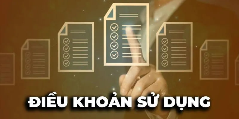 Tầm quan trọng của điều khoản sử dụng trong thế giới cá cược số