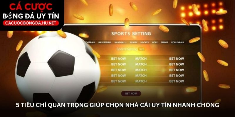 5 tiêu chí quan trọng giúp chọn nhà cái uy tín nhanh chóng