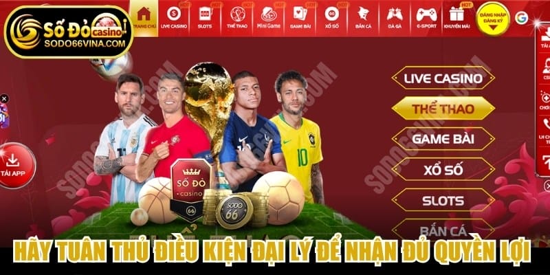 Hãy tuân thủ điều kiện đại lý để nhận đủ quyền lợi từ nhà cái