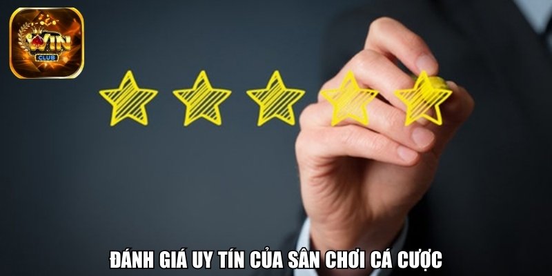 “Thiết kế gây nghiện” – mô hình vận hành trong Winclub khiến người chơi quay lại mỗi ngày