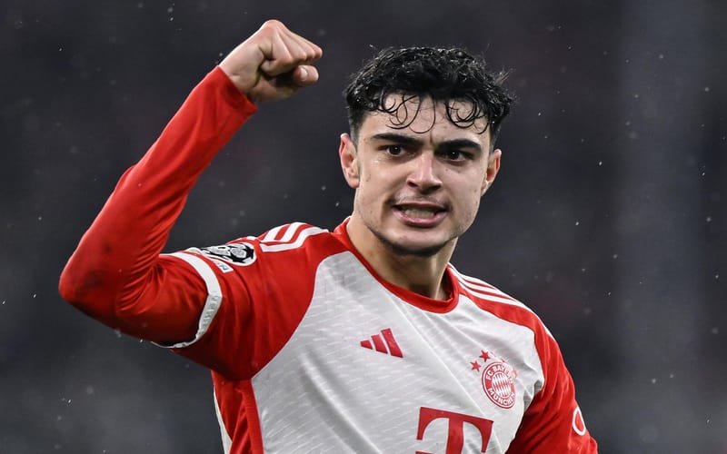 Pavlović đã nhanh chóng khẳng định vị trí dù tuổi đời còn rất trẻ