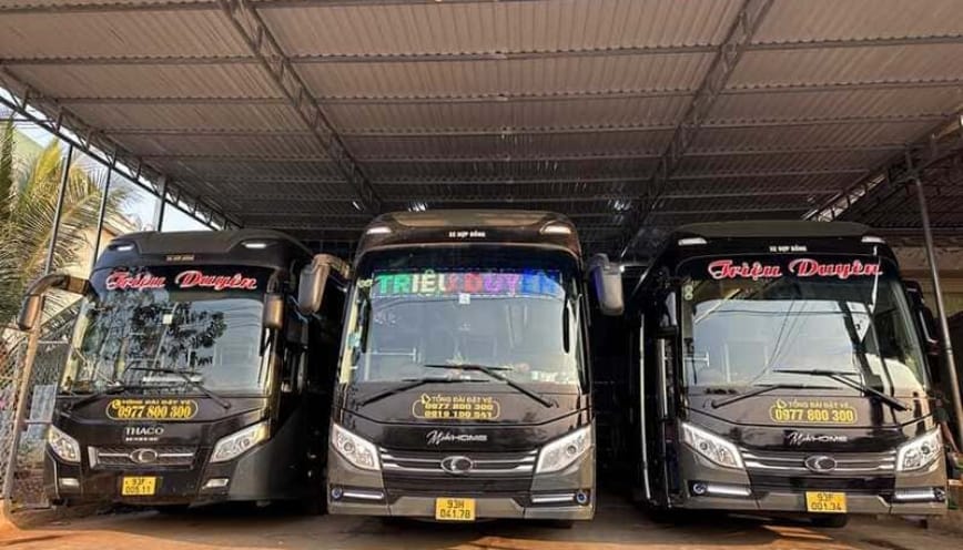 Các tuyến thường được quan tâm