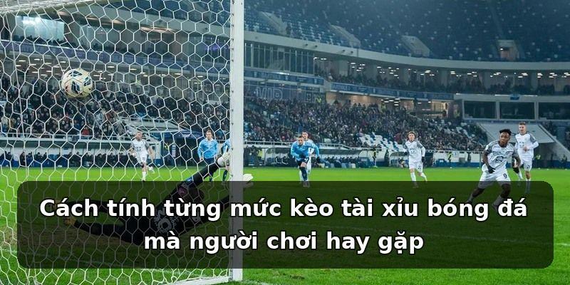Cách tính từng mức kèo tài xỉu bóng đá mà người chơi hay gặp