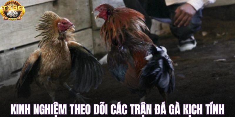 Nhận diện nội dung giả mạo và các rủi ro liên quan.