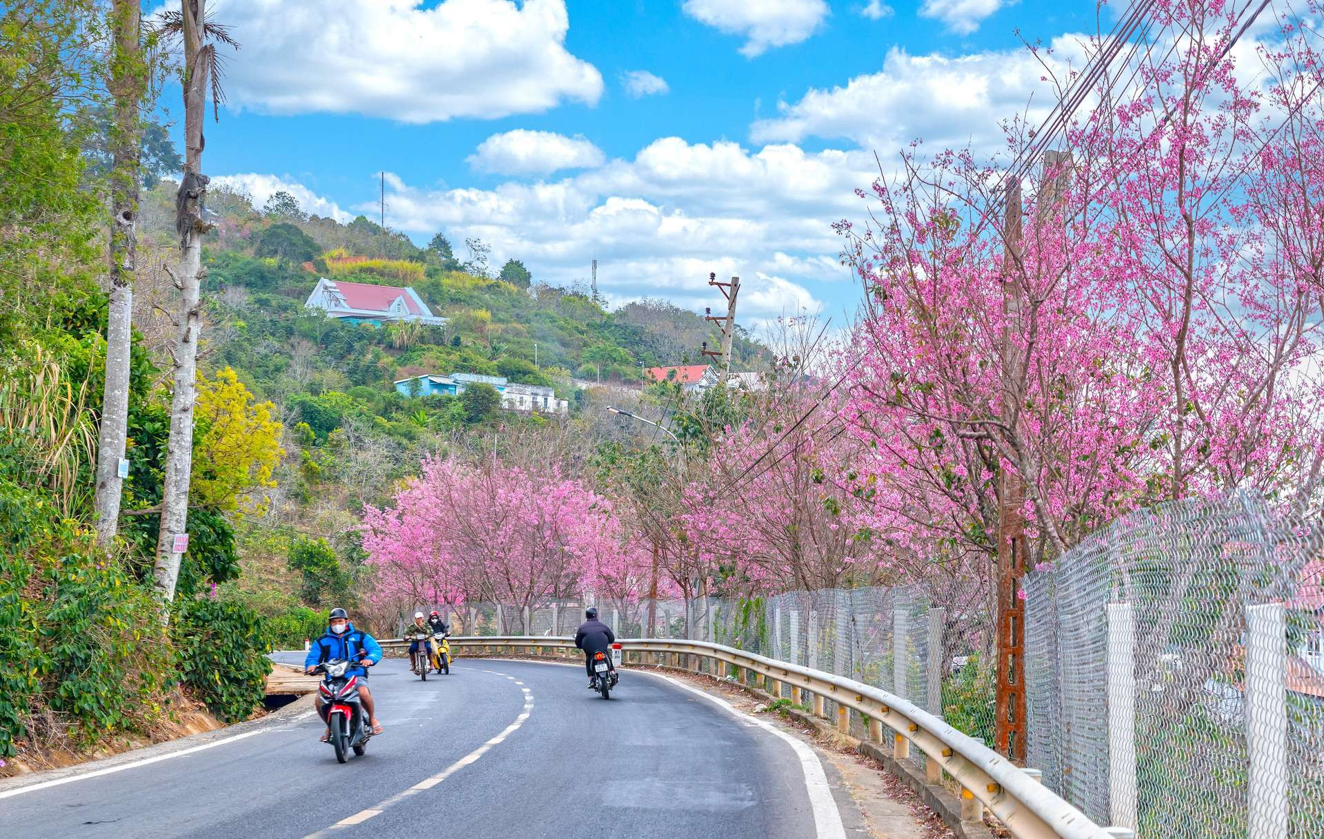 Bản đồ mô tả tuyến đường và khoảng cách Sài Gòn đi Bảo Lâm