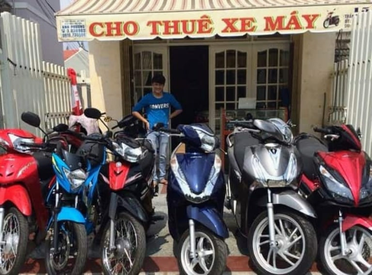 Các loại xe số và xe ga sẵn sàng cho thuê tại Thành Đạt, gần Quận 10