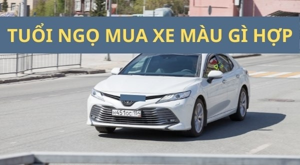 Cách chọn màu xe ô tô hợp phong thủy cho người tuổi Ngọ
