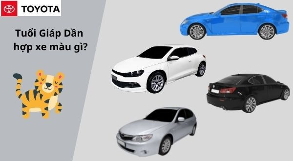 Chọn màu xe phù hợp phong thủy tuổi Giáp Dần