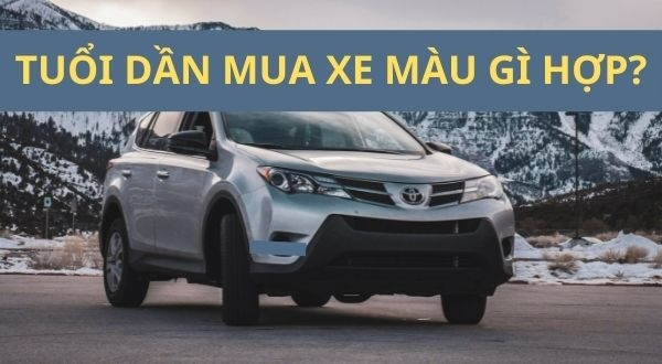 Chọn màu xe phù hợp với tuổi Dần theo phong thủy để mang lại may mắn