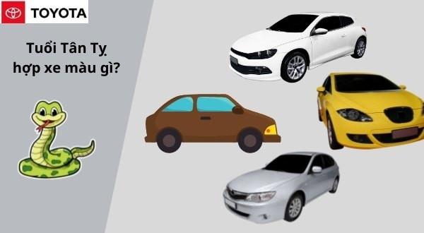 Hình ảnh một chiếc sedan màu bạc (ghi) đậu trong bãi đỗ xe