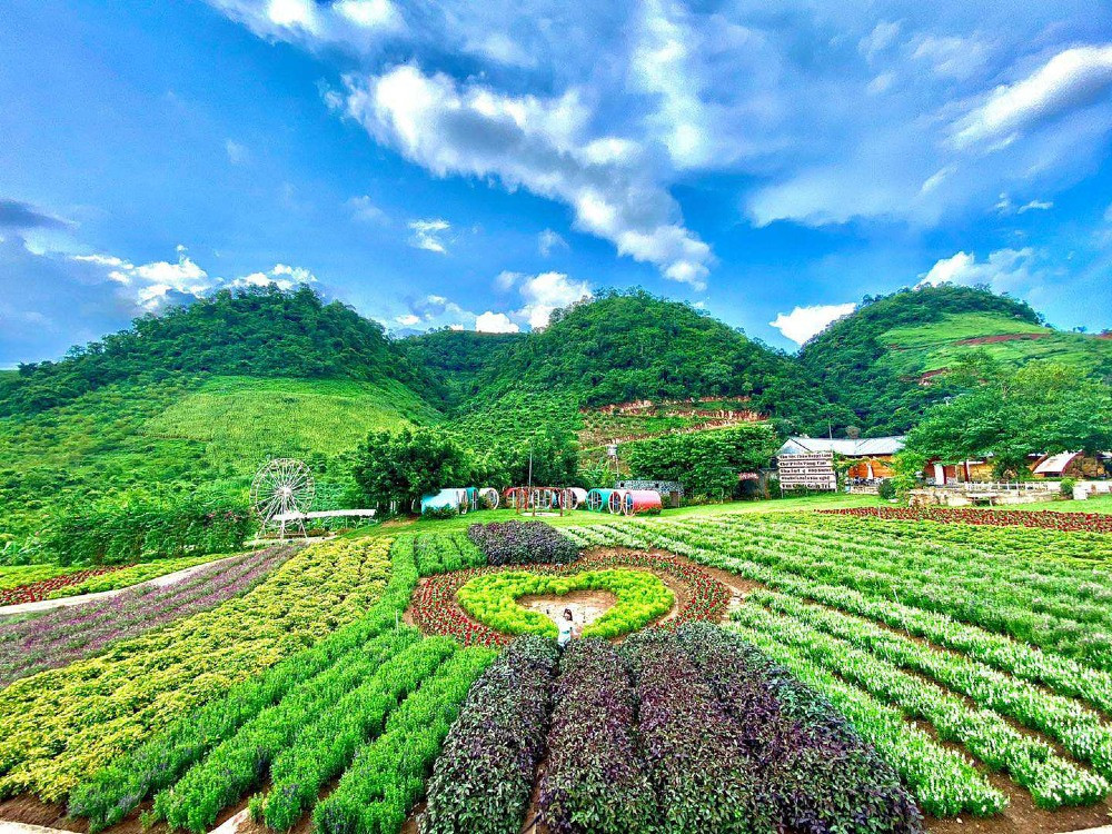 Khu du lịch Mộc Châu Happy Land với nhiều điểm check-in và vui chơi hấp dẫn
