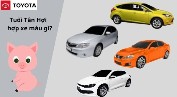 Màu xe ô tô hợp phong thủy với người tuổi Tân Hợi mệnh Kim