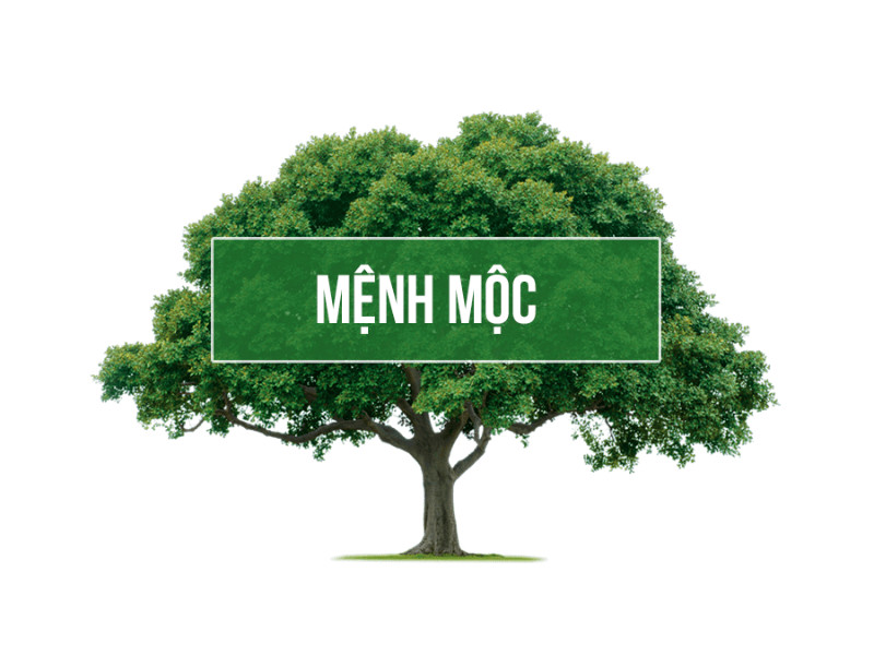 Người mệnh Mộc sinh năm nào và thuộc nạp âm gì