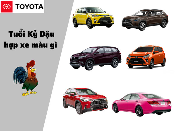 Người tuổi Kỷ Dậu mệnh Thổ nên chọn màu xe nào?