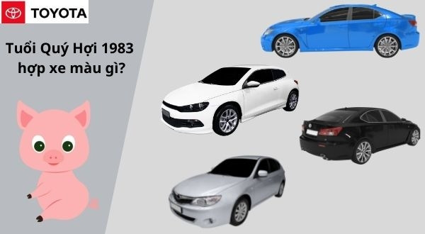 Tư vấn chọn màu xe ô tô phù hợp cho người tuổi Quý Hợi 1983 mệnh Thủy