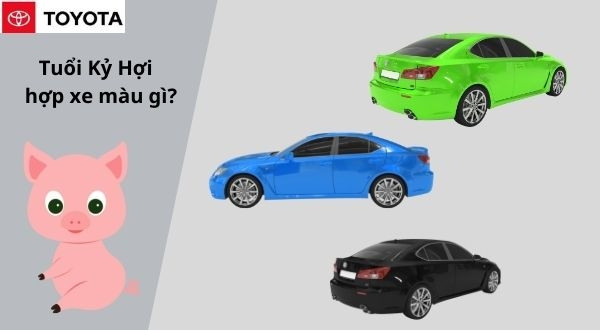 Tuổi kỷ hợi mua xe màu gì?