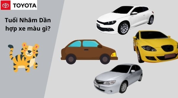 Tuổi Nhâm Dần hợp màu xe vàng, nâu đất