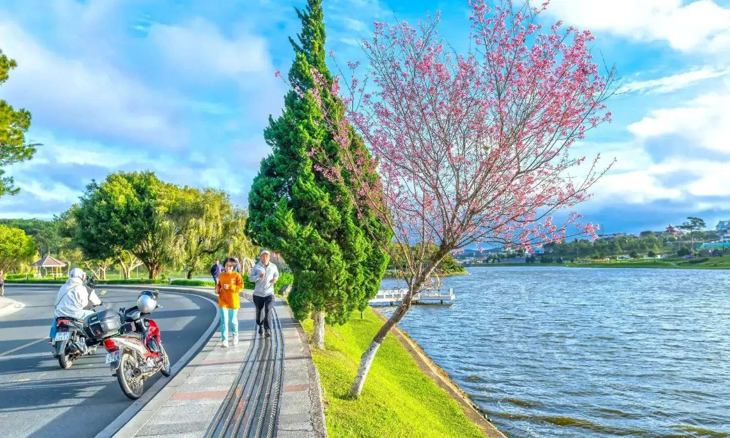 Xe khách tiện lợi cho hành trình từ Bình Thuận đến Đà Lạt